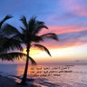 Profilbild von حاتم سندي