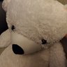 Фото профиля Bearbears