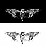 Profilbild von CICADA8504