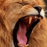 FreeRepublik's profile picture