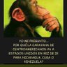 tio moyo's profile picture