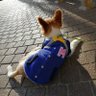 Profilbild von MARU