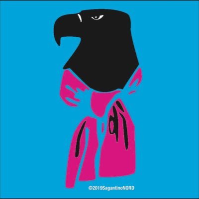 SagantinoNORD's profile picture