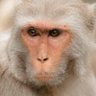 Jean Kelman's profile picture