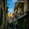Profilbild von الختيار السادس عشر