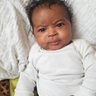 Chocolate Chicken's profile picture