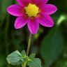 Ishwaryadav367@gmail.com's profile picture