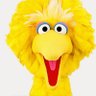 Big Bird's profile picture