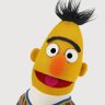 Bert 的头像