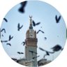 حاتم عزوز's profile picture