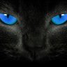 Nocturnal~Black~Cat profil fotoğrafı