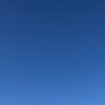 彡ケネコ profil fotoğrafı