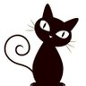 Profilbild von kit