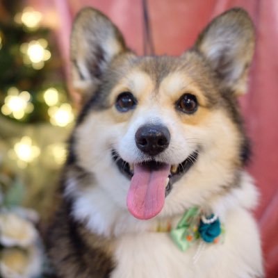 cooorgi_002's profile picture