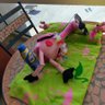 Фото профиля FlamingoFreak
