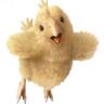 Tyler Washington's profile picture