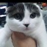 ひろ 的头像