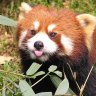 Chutril's profile picture