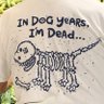SteveO19's profile picture