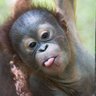 reot profil fotoğrafı