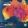 radelaide 的头像