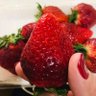 ずっこけピヨ太郎🐣 profil fotoğrafı