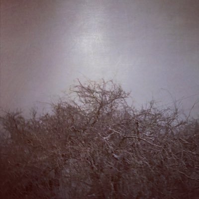 DJ NOBU's profile picture