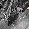 かわちゃん 的头像