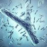 Profilbild von Cromosoma