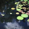 Meandering Streams's profile picture