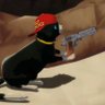 Solo's profile picture