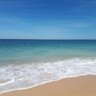 toomuchbeachtime's profile picture