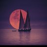 ندى الرميح's profile picture