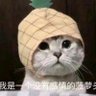 Z 的头像