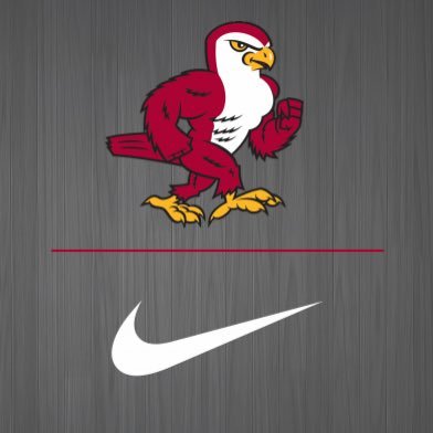 FriendsFalcons's profile picture