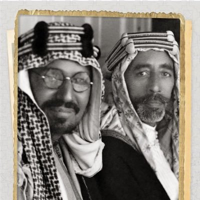 1AhmedALamer's profile picture