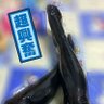 MoeHero 的头像