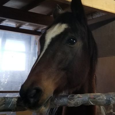 mmPhtiJWAgQ5uQF's profile picture