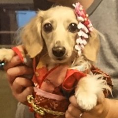 もなか's profile picture