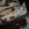 Фото профиля Peter Schilperoord