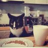 emma.14's profile picture