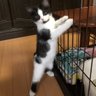 じゅんちゃんさん profil fotoğrafı