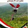 محمد احمد سيف's profile picture