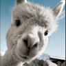 julien michot's profile picture