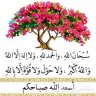 ام وليد's profile picture