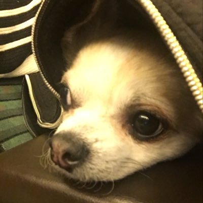 溝上奈緒子's profile picture