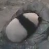 りん 的头像