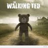 Teddy 的头像