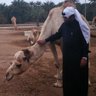 DR. Abdullaha Alhai profil fotoğrafı