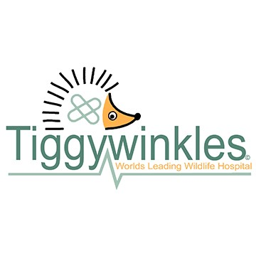 Tiggywinkles's profile picture